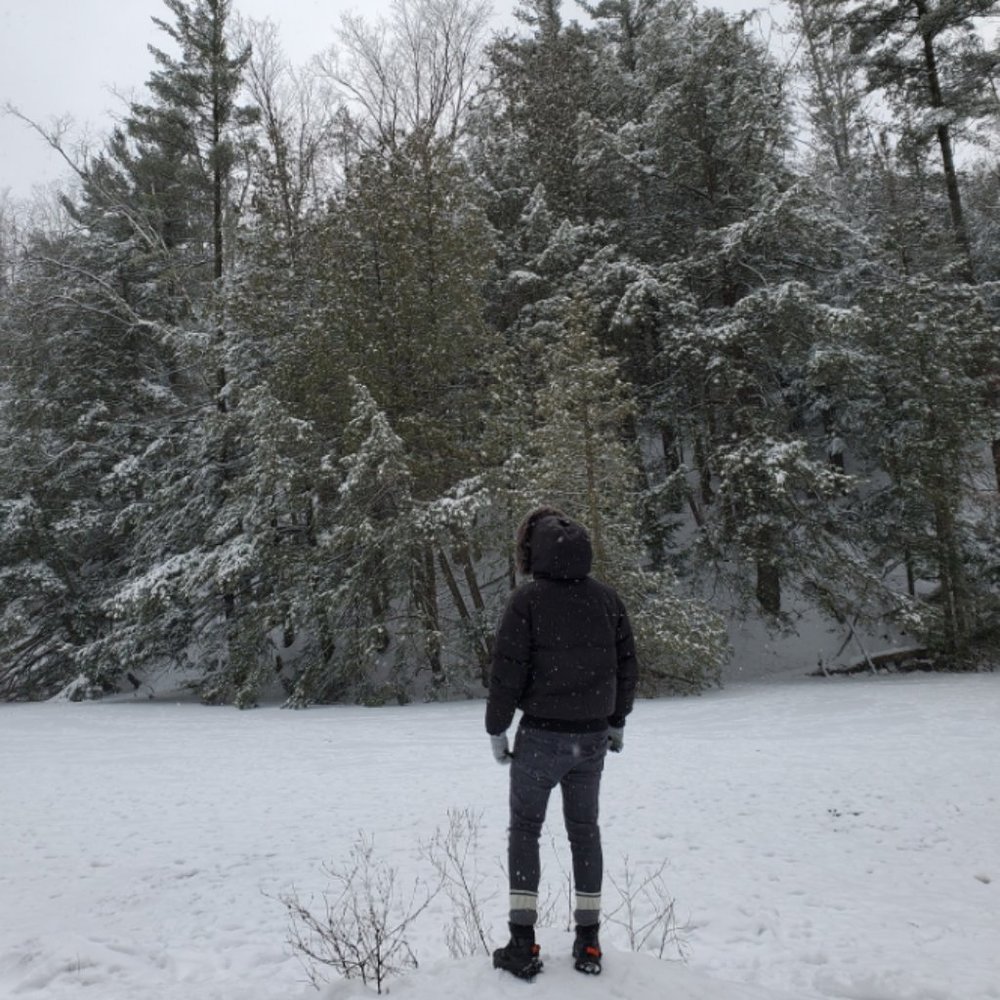 Meet your Posher, Phil